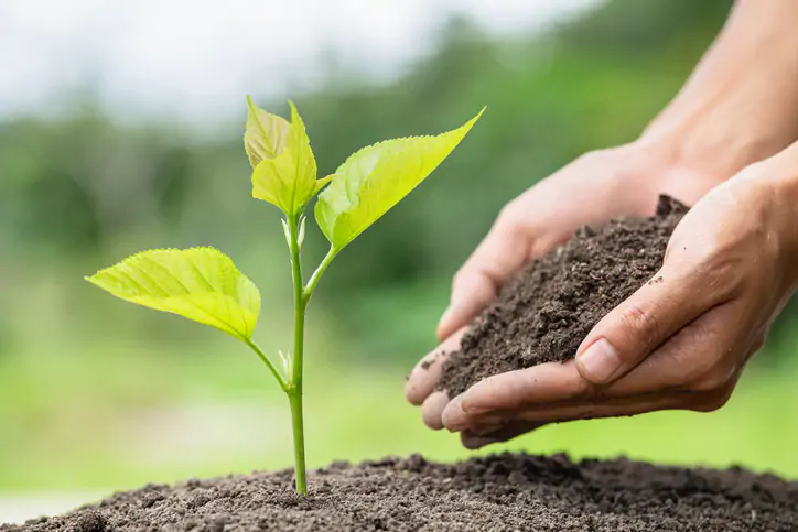 The Effects of Toxic Metals: It Might Be Time to Detox!
