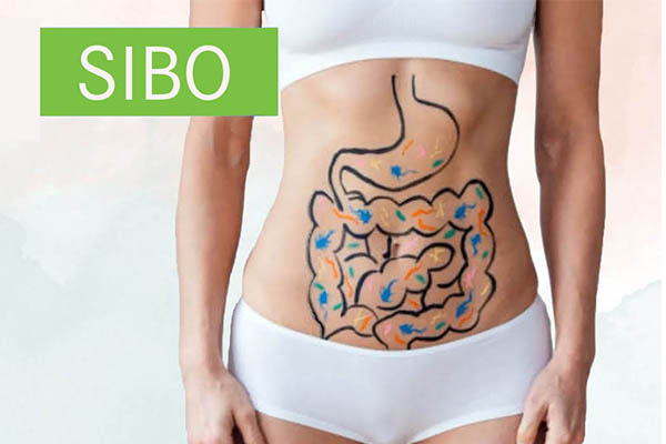 Debunking the Myth: Prebiotics and Probiotics ARE Actually Helpful in Treating SIBO