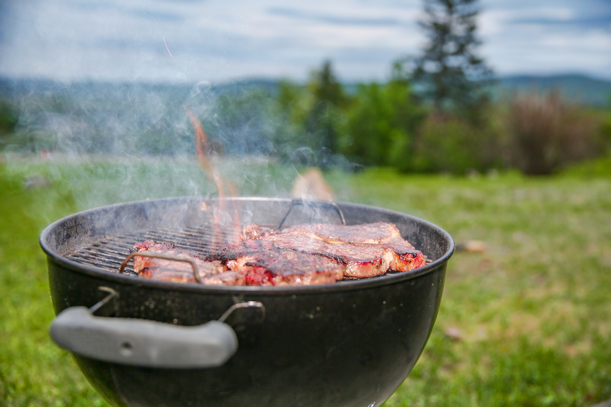 BBQ Time Food with Good Bacteria | Pascoe Canada