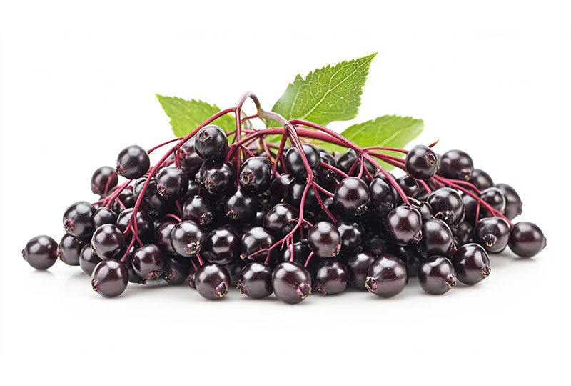 Acerola as a medicinal plant
