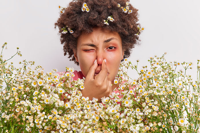 Hay Fever vs. Pollen Allergies