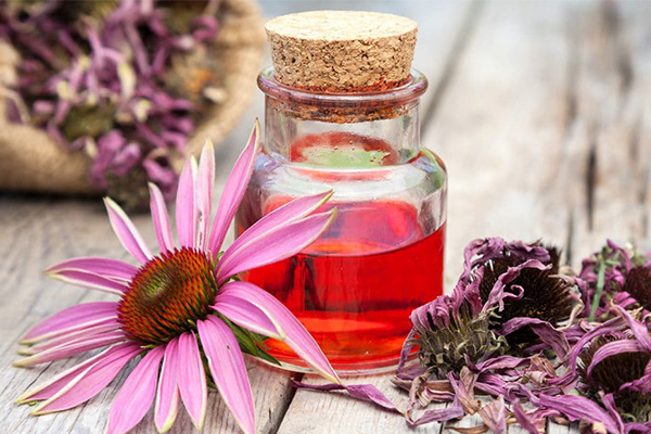 List of some Herbal cold and flu remedies List of some Herbal cold and flu remedies